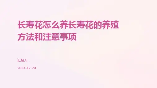 长寿花怎么养长寿花的养殖方法和注意事项