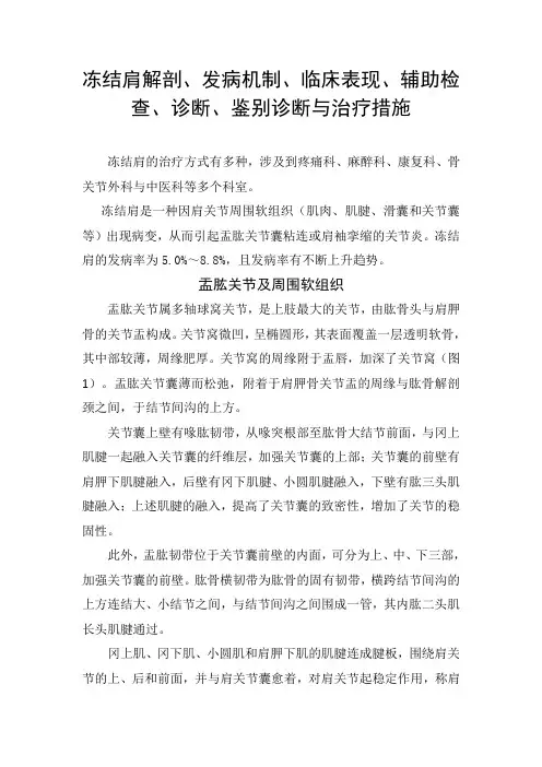 冻结肩解剖、发病机制、临床表现、辅助检查、诊断、鉴别诊断与治疗措施