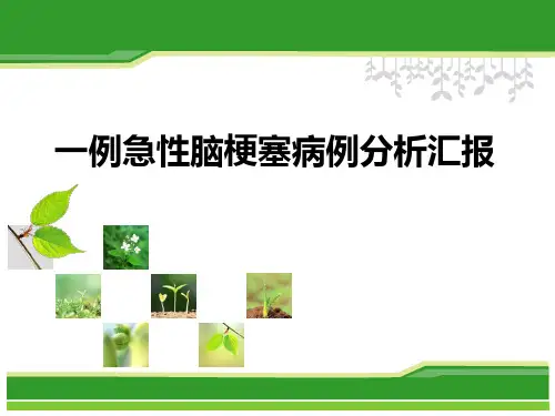 一例急性脑梗塞病例分析汇报
