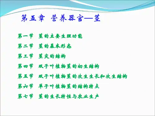 植物学第五章