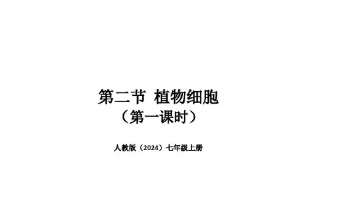 人教版(2024新板)七年级生物上册第一单元第二章第二节《植物细胞(第一课时)》优质课件