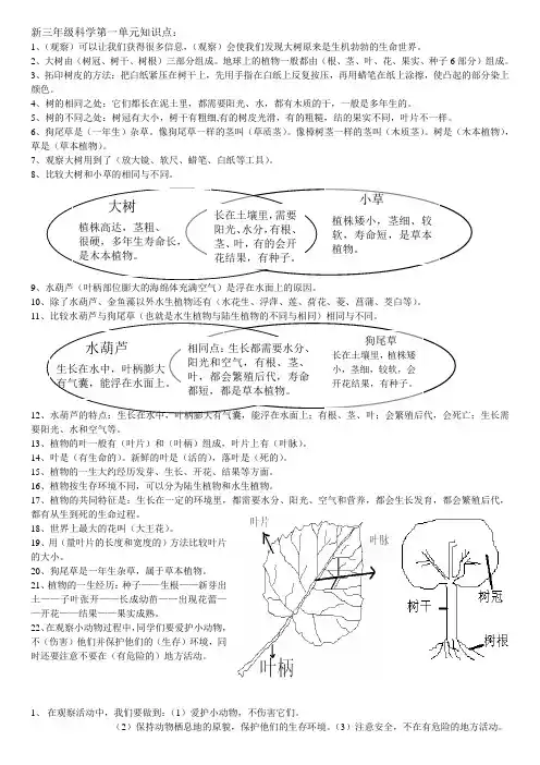 三年级上册浙江科学整理期末资料