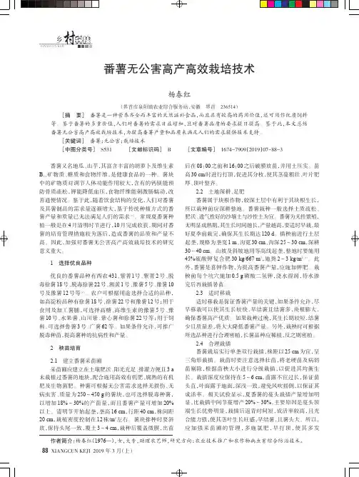 番薯无公害高产高效栽培技术