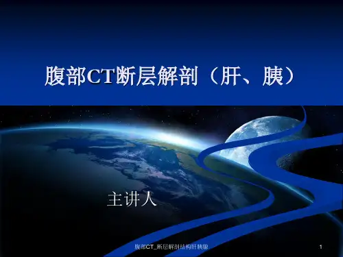 腹部CT_断层解剖结构肝胰腺