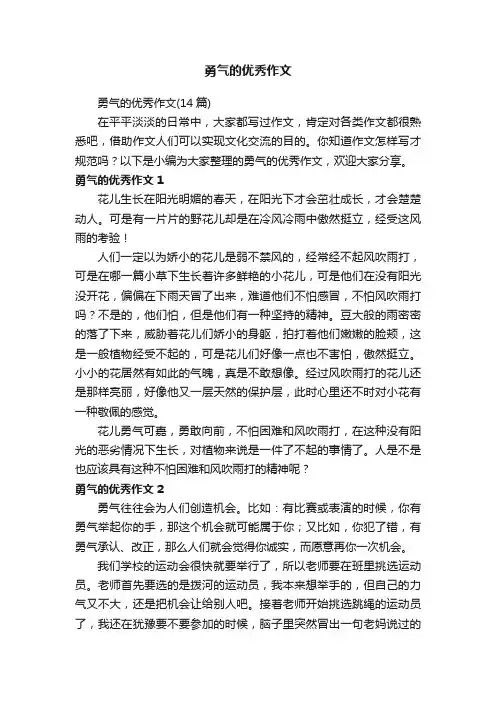 勇气的优秀作文（14篇）