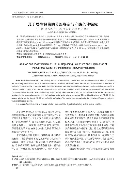 几丁质降解菌的分离鉴定与产酶条件探究