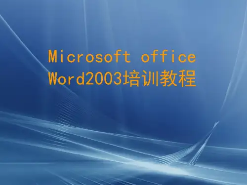 Word2003培训教程-湖州新视觉培训
