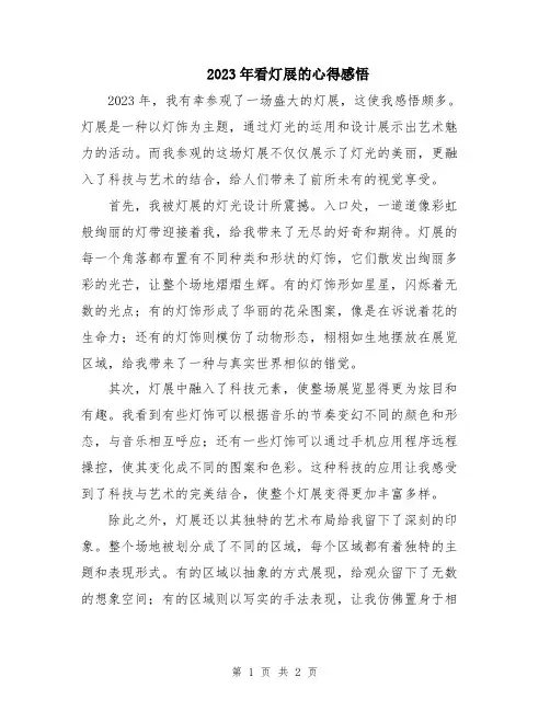 2023年看灯展的心得感悟
