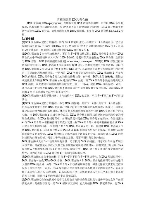 真核生物的DNA聚合酶