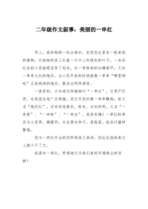 二年级作文叙事：美丽的一串红