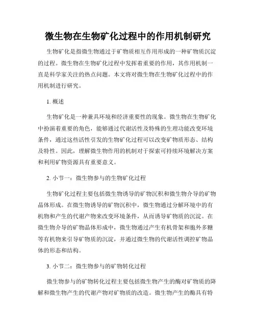 微生物在生物矿化过程中的作用机制研究