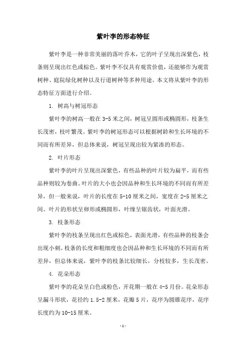 紫叶李的形态特征
