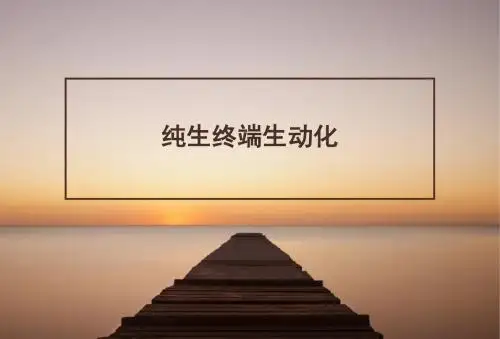 纯生终端生动化