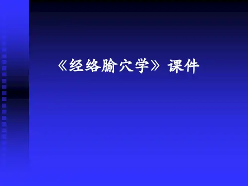 经络概述课件