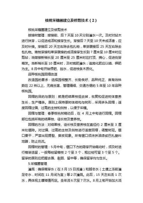 核桃采穗圃建立及修剪技术（2）