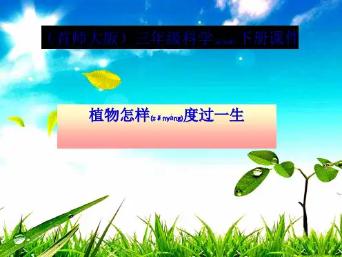 三年级科学下册 植物怎样度过一生 3课件_00001