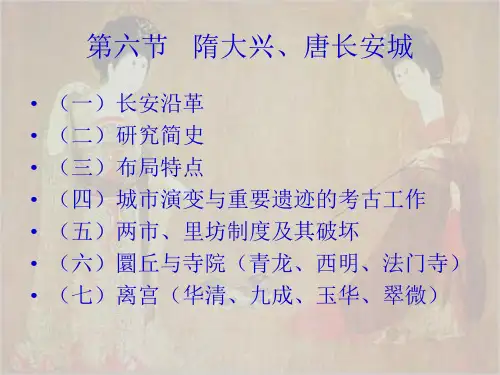 隋大兴唐长安城