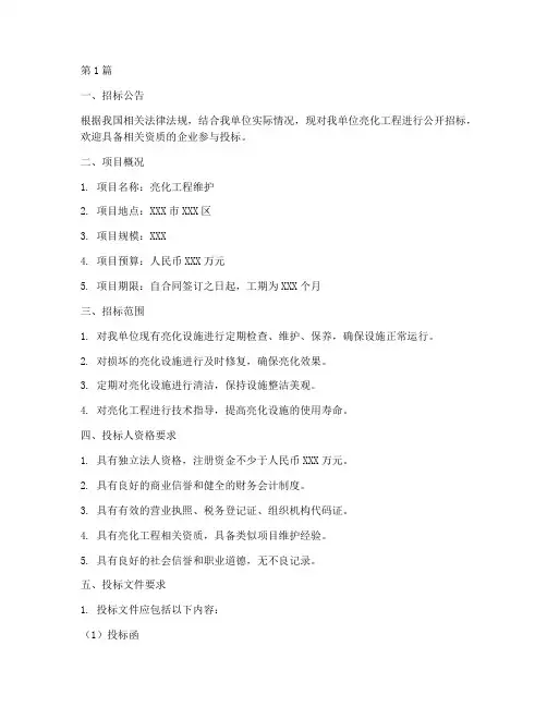 亮化工程维护招标文件(3篇)