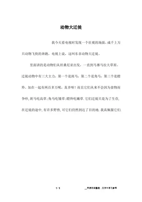 动物大迁徙_一年级作文