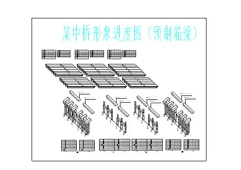 某中桥形象进度图(预制箱梁CAD图)