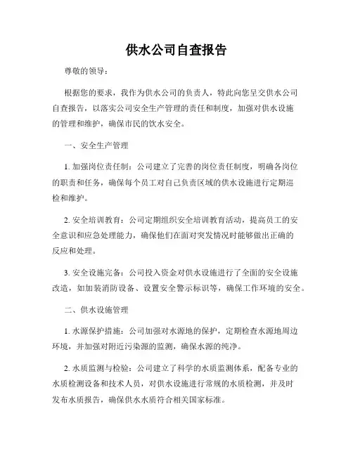 供水公司自查报告