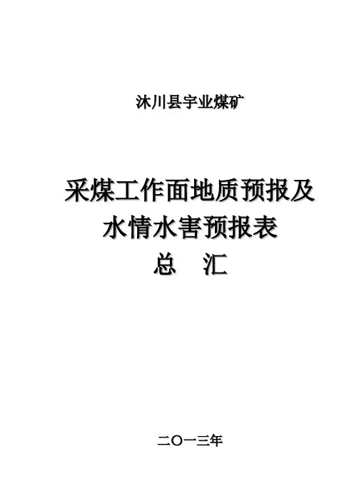 采煤工作面地质预报及水情水害预报表(2013年)