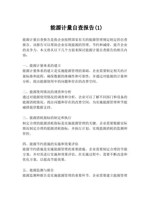 能源计量自查报告(1)