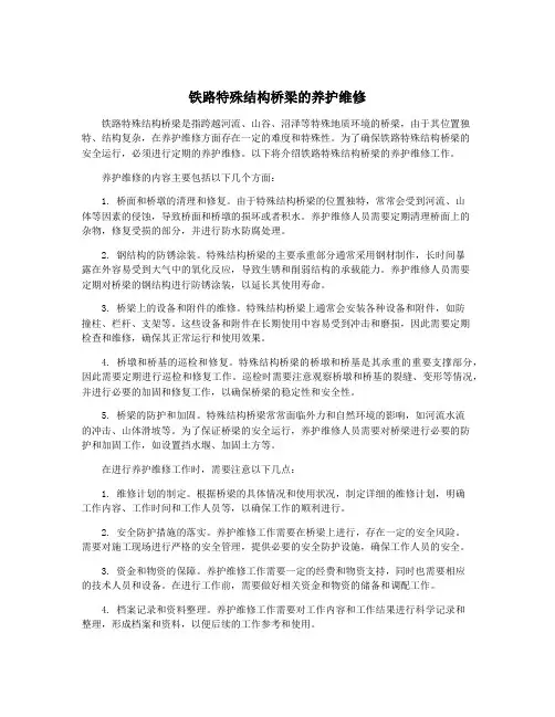 铁路特殊结构桥梁的养护维修
