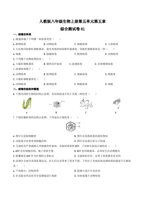 人教版八年级生物上册第五单元第五章《病毒》综合测试卷01含答案