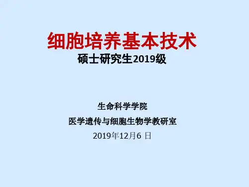 细胞培养基本技术 研究生 2019级