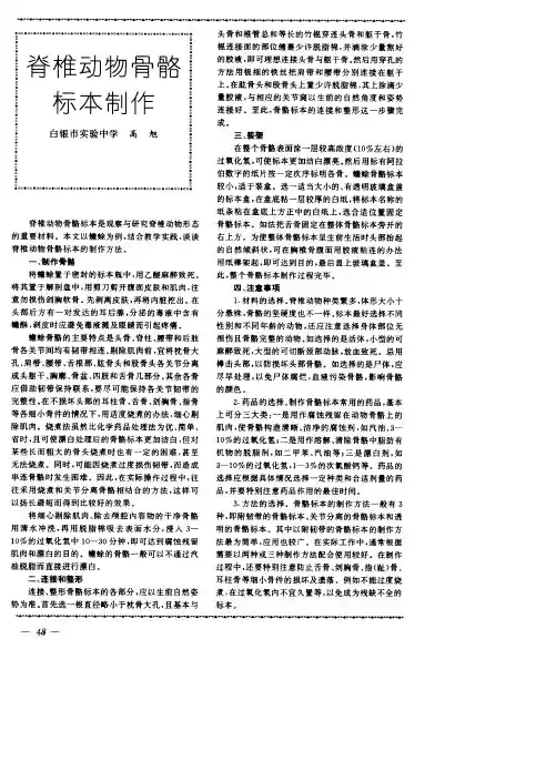 脊椎动物骨骼标本制作
