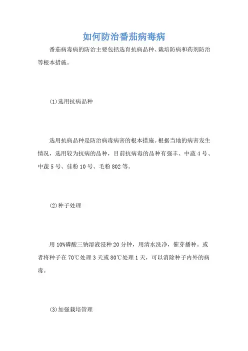 如何防治番茄病毒病