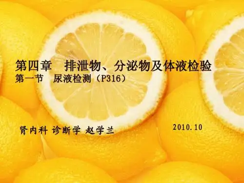 尿液检查
