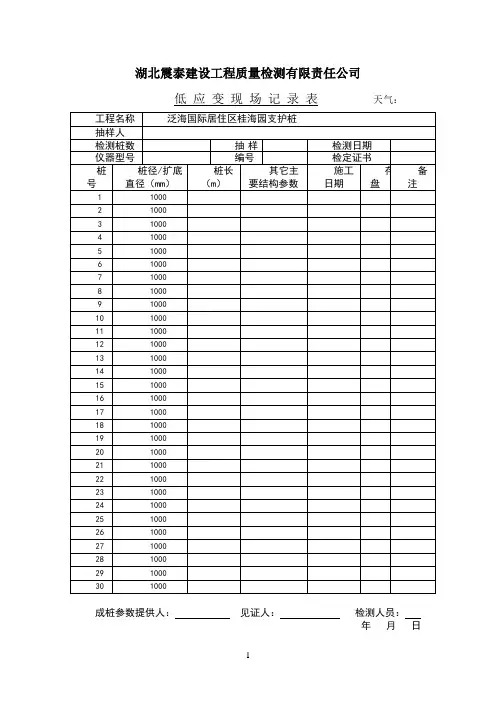 低应变现场记录表格