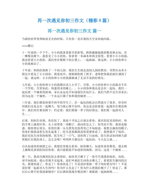 再一次遇见你初三作文(精彩8篇)