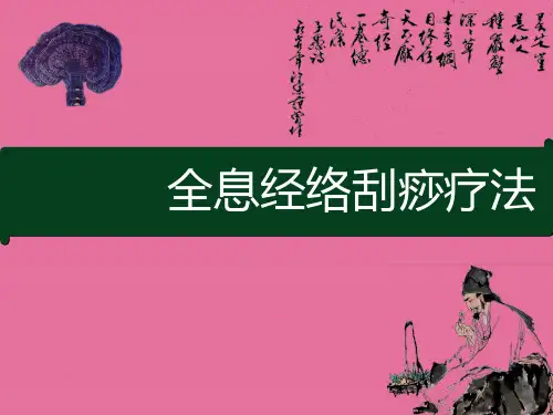 全息经络刮痧疗法(内部培训资料)ppt课件