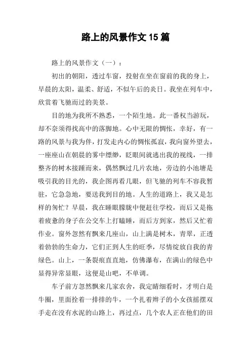 路上的风景作文15篇