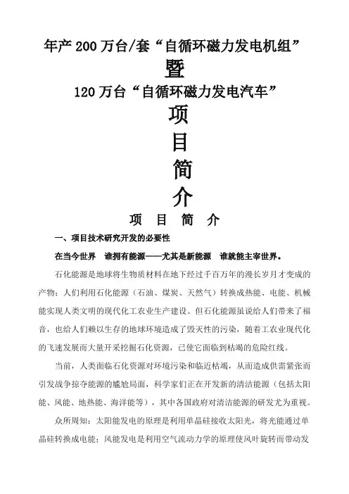 自循环磁力发电机项目简介