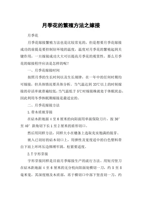 月季花的繁殖方法之嫁接