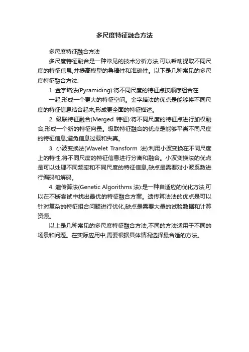 多尺度特征融合方法