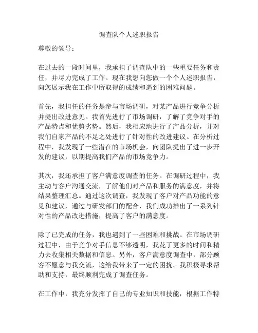 调查队个人述职报告