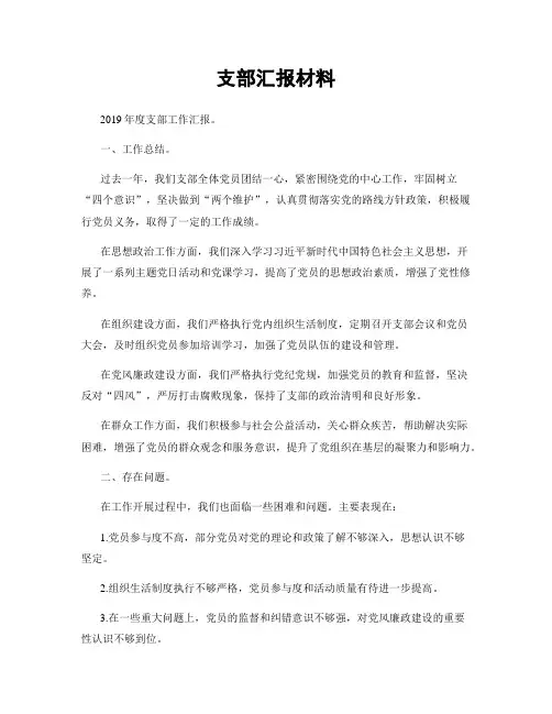 支部汇报材料