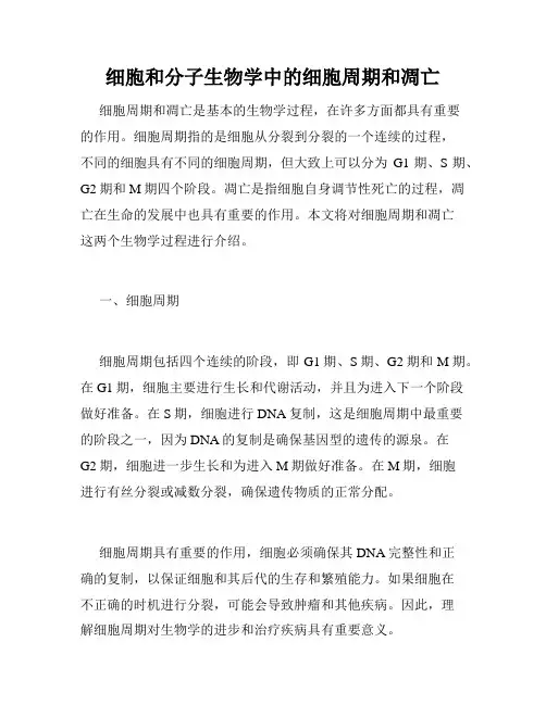 细胞和分子生物学中的细胞周期和凋亡