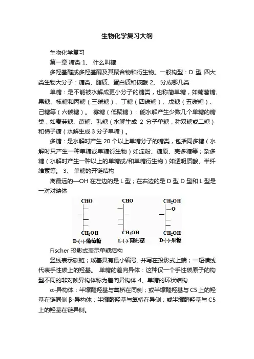 生物化学复习大纲