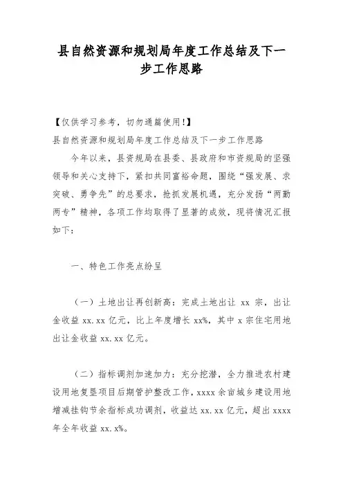 县自然资源和规划局年度工作总结及下一步工作思路