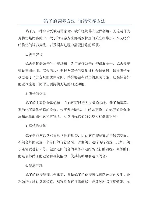 鸽子的饲养方法_信鸽饲养方法