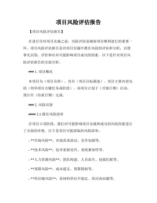 项目风险评估报告