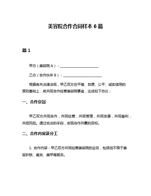 美容院合作合同样本6篇