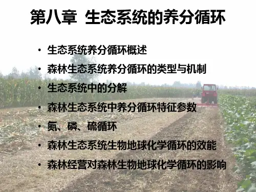森林生态系统的养分循环PPT课件