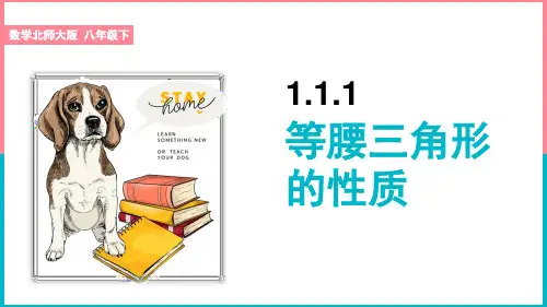 初中数学北师大版八年级下册《等腰三角形的性质》课件